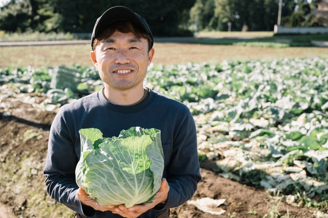 有機野菜のデメリットを徹底解説　価格や保存性、安全性の課題とは？